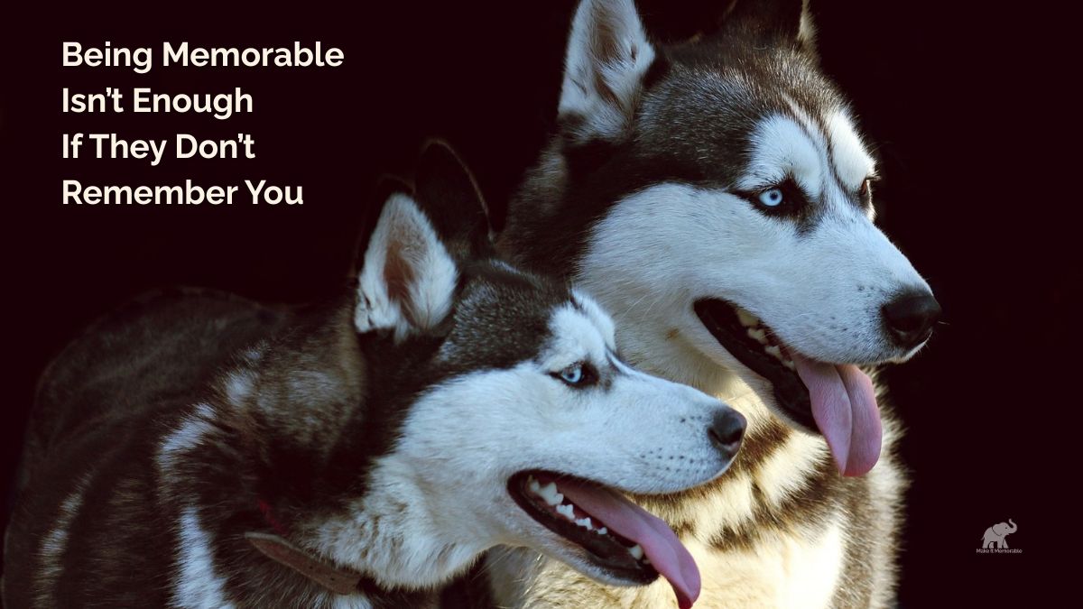 Two Siberian huskies featured in a Make It Memorable blog about branding, recognition, and what people remember